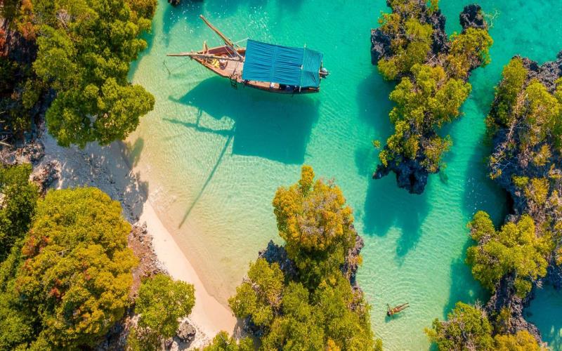 Experience Zanzibar: Best Tours for Nature and Culture Lovers