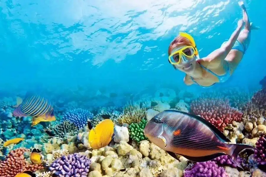 Family Snorkeling