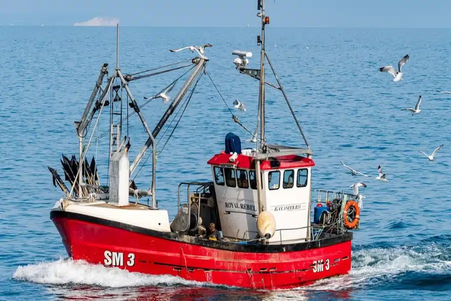5 Services Only a Trusted Boat Dealer Will Provide