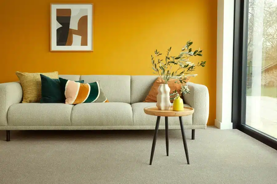 Carpets Looking Great
