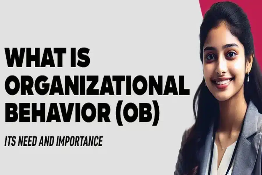 Organizational Behavior