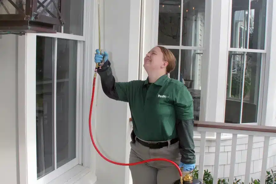 Year-Round Pest Control Tips Every Arlington Homeowner Should Know