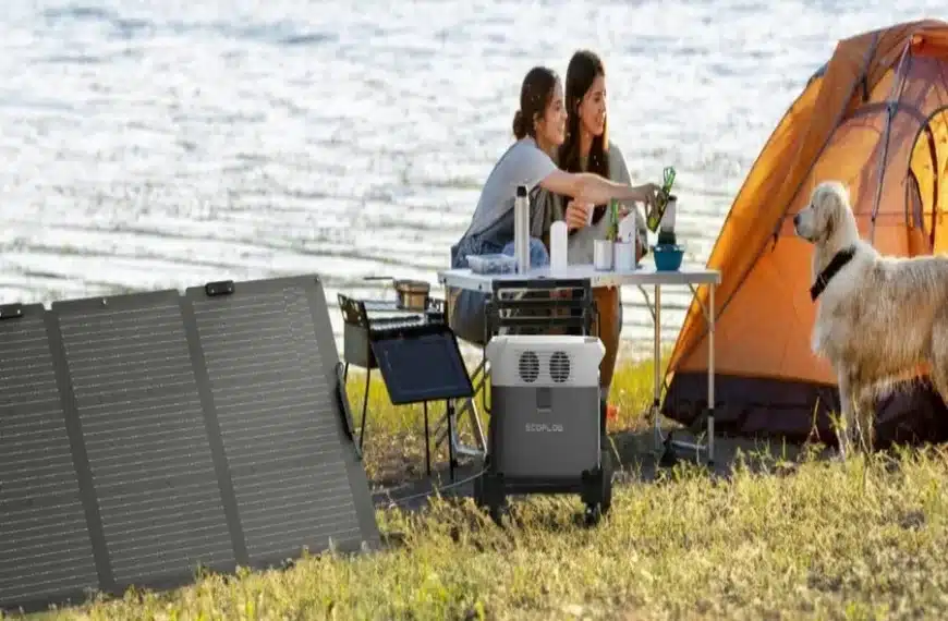 Dual Battery