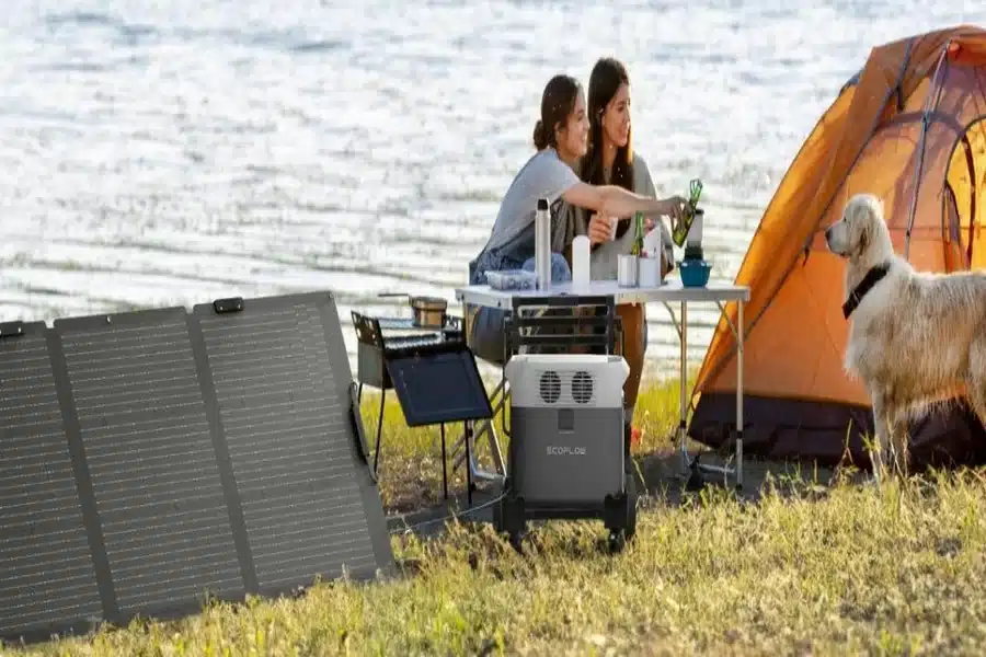 Dual Battery