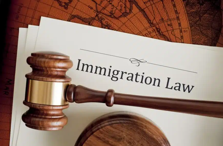 Crimmigration Law