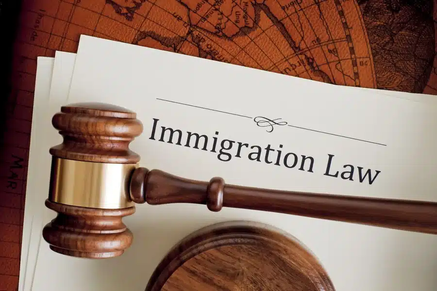 Crimmigration Law