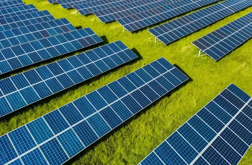 Renewable Energy