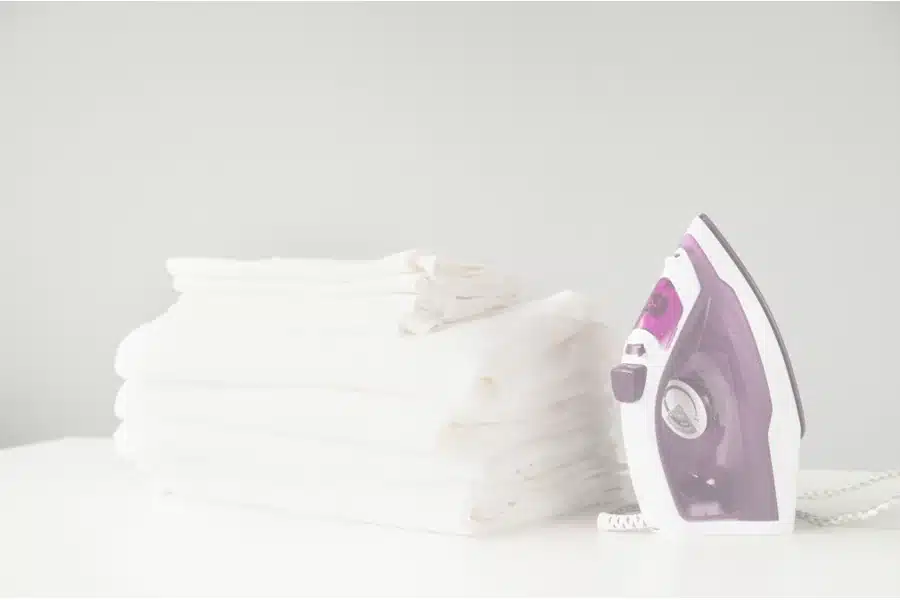 Steam Iron