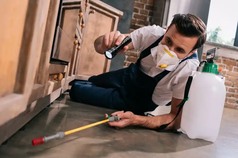 Pest Control