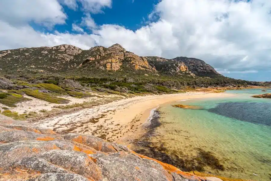 Flinders Island News