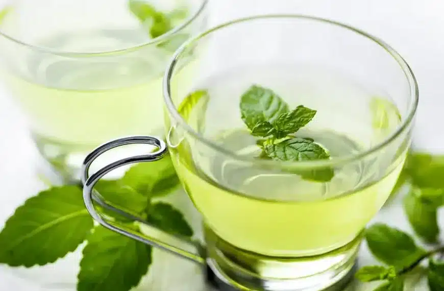 Organic Green Tea