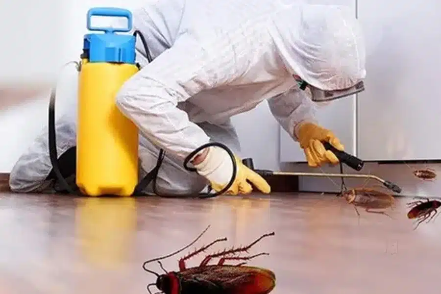 Infestations