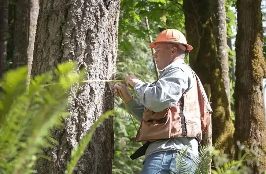 Private Native Forestry Codes