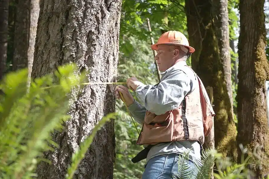 Private Native Forestry Codes