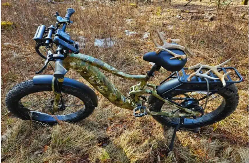 Electric Bikes