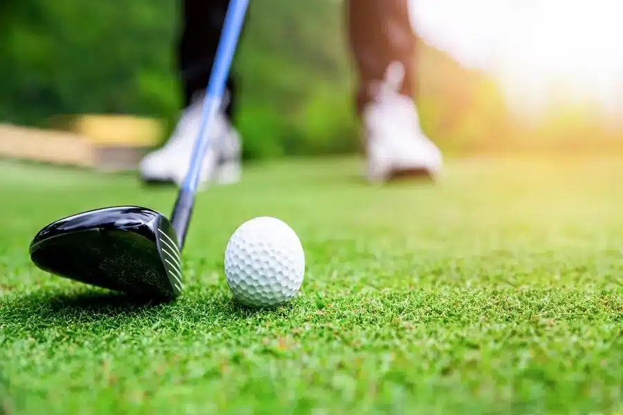 Fairway Woods
