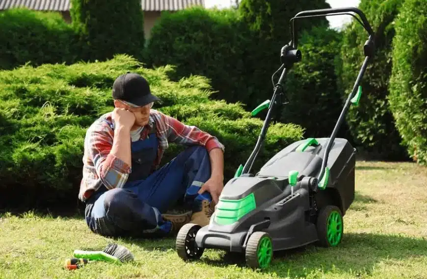 Lawn