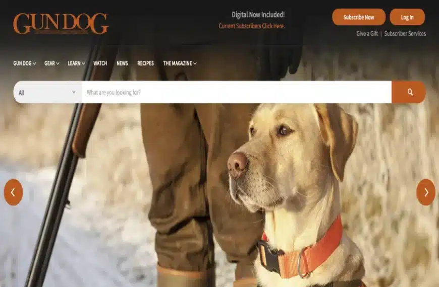 Dog News Magazine Guide For Pet Lovers And Owners