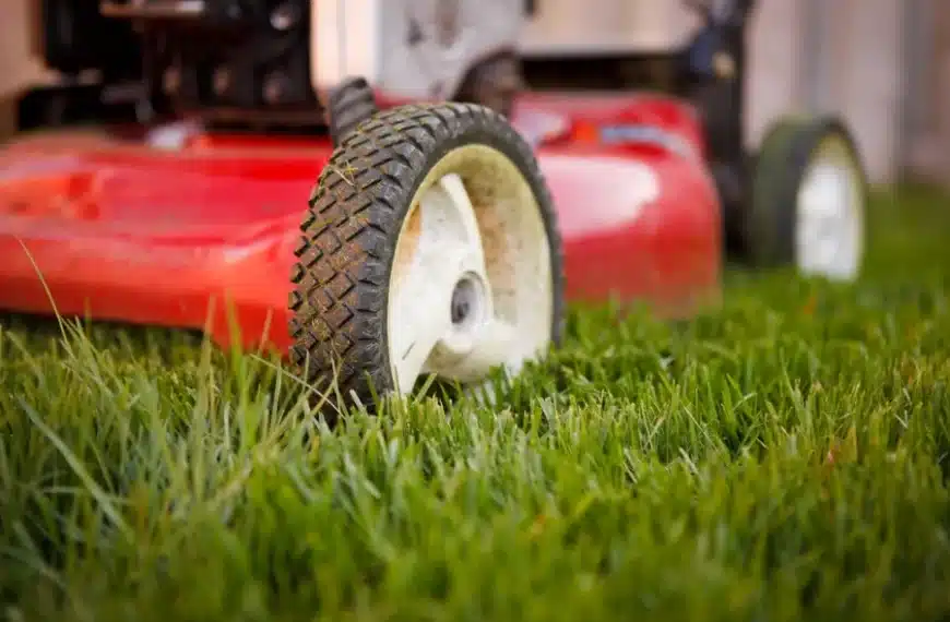 UK Lawn Care