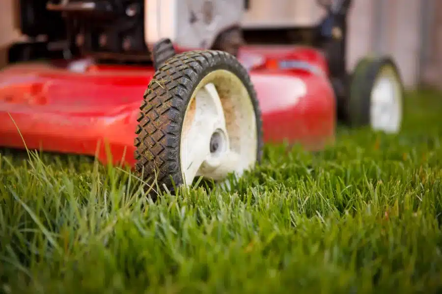 UK Lawn Care