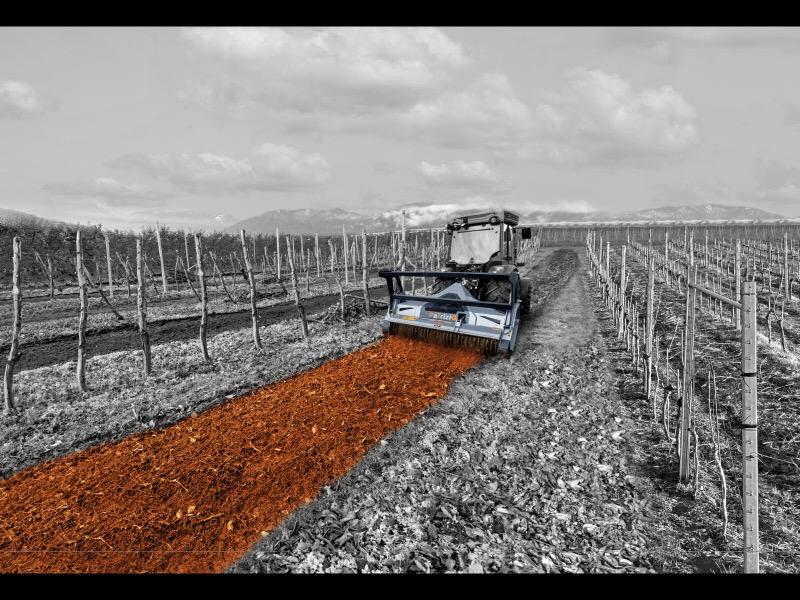 What impacts forestry mulcher performance? The key operating factors explained