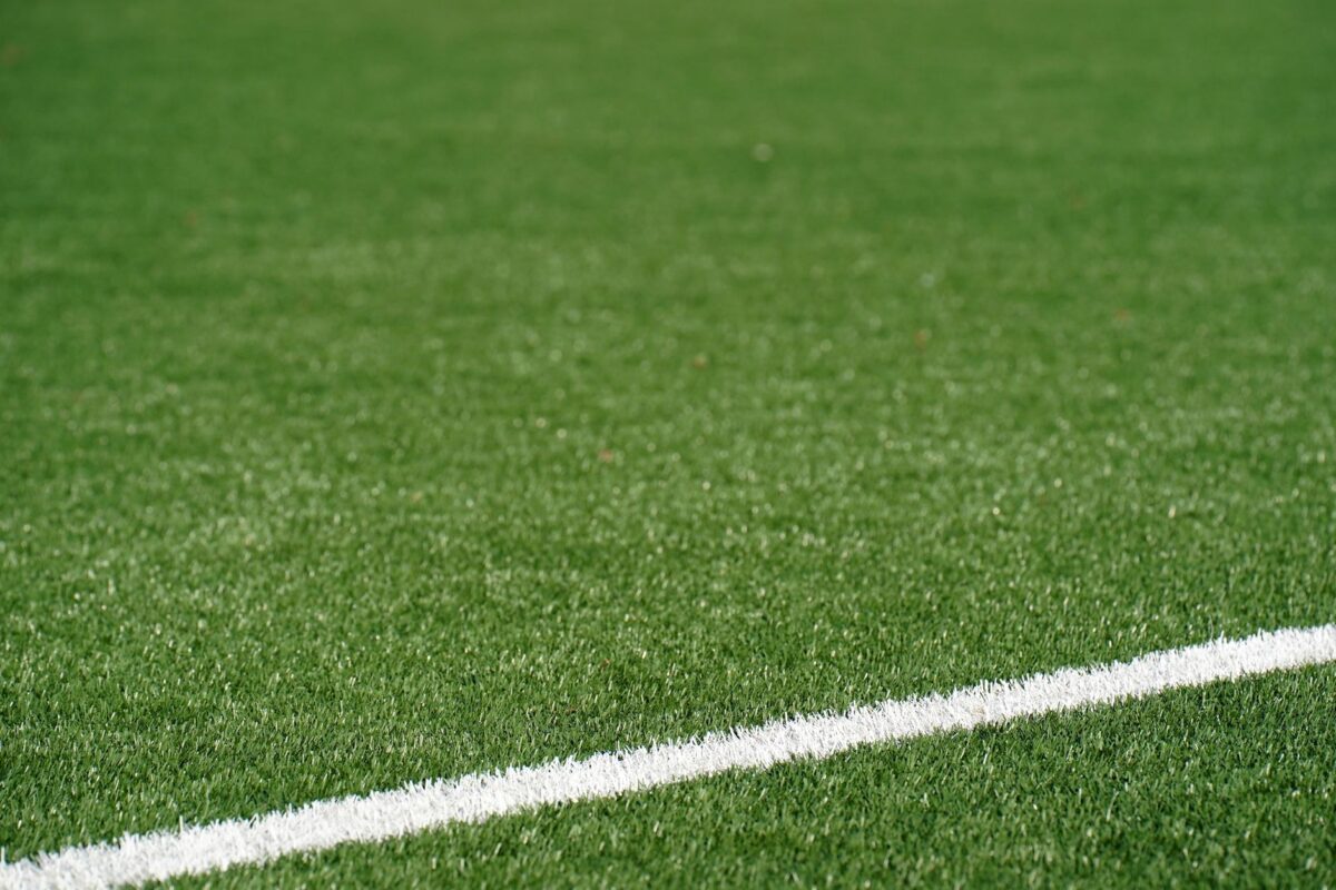 Can Artificial Turf Really Save Homeowners Money&hellip;