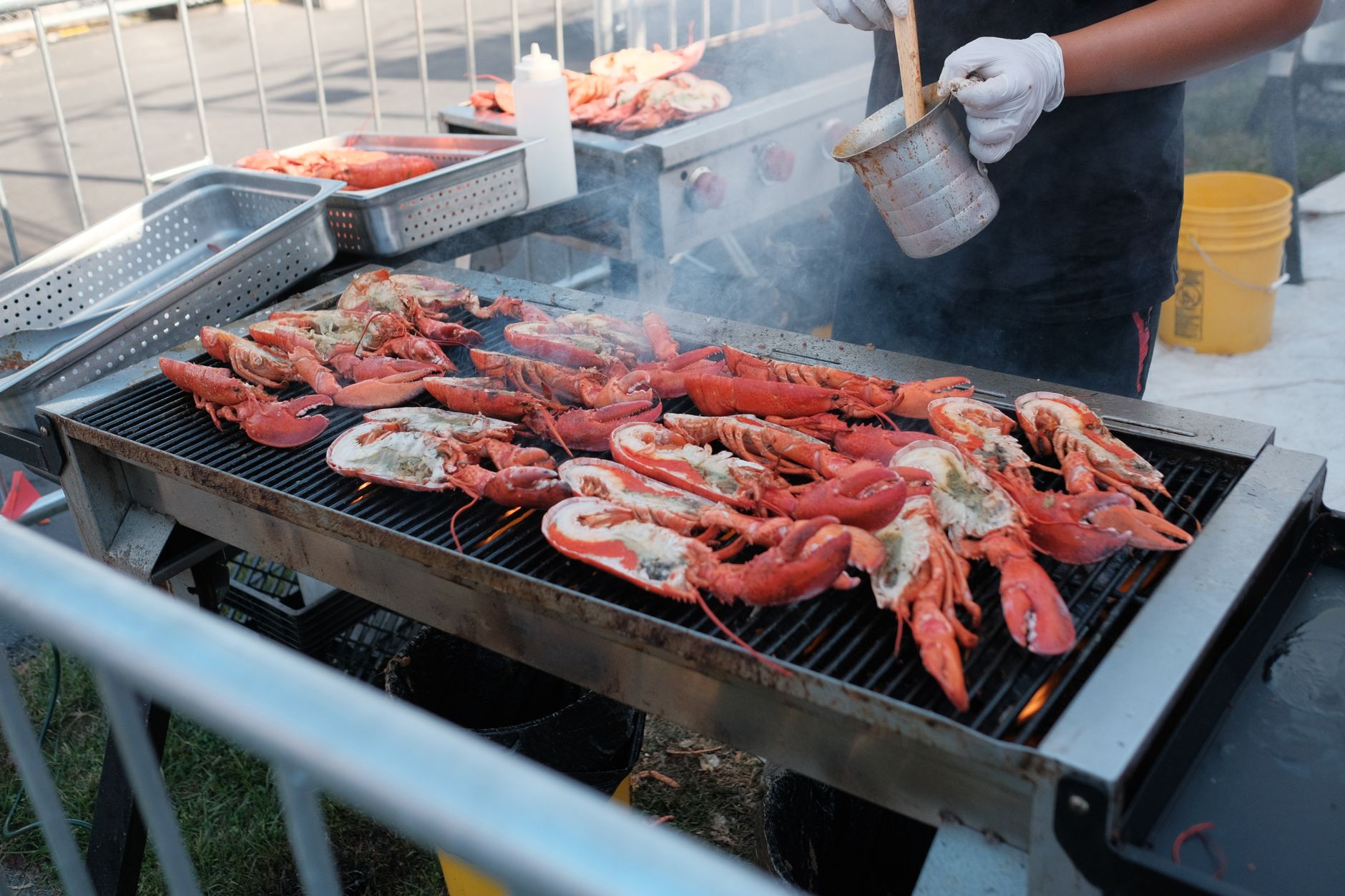 What to Know Before Ordering Fully Cooked Lobster by Mail